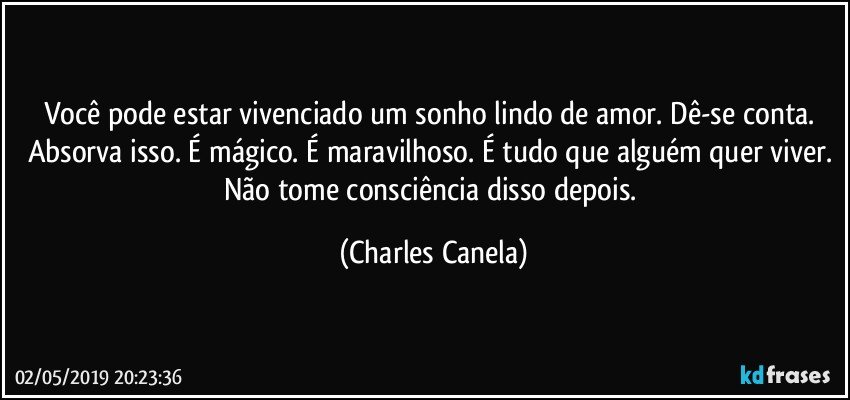 Você pode estar vivenciado um sonho lindo de amor. Dê-se conta. Absorva isso. É mágico. É maravilhoso. É tudo que alguém quer viver. Não tome consciência disso depois. (Charles Canela)