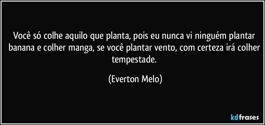 Você só colhe aquilo que planta, pois eu nunca vi ninguém plantar banana e colher manga, se você plantar vento, com certeza irá colher tempestade. (Everton Melo)