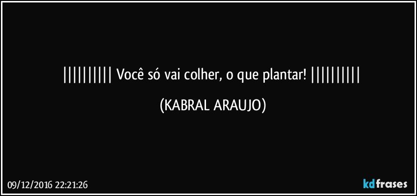   Você só vai colher, o que plantar!   (KABRAL ARAUJO)