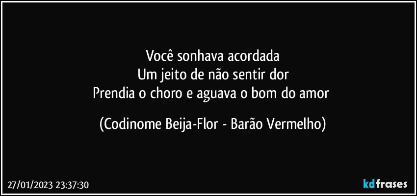 Você sonhava acordada
Um jeito de não sentir dor
Prendia o choro e aguava o bom do amor (Codinome Beija-Flor - Barão Vermelho)