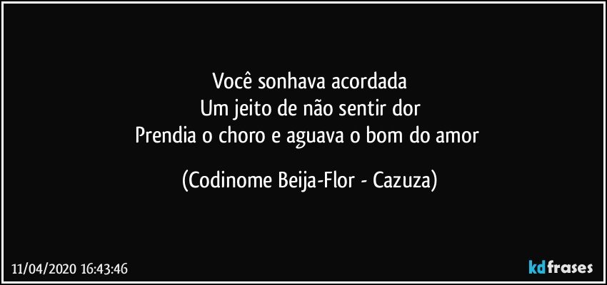 Você sonhava acordada
Um jeito de não sentir dor
Prendia o choro e aguava o bom do amor (Codinome Beija-Flor - Cazuza)