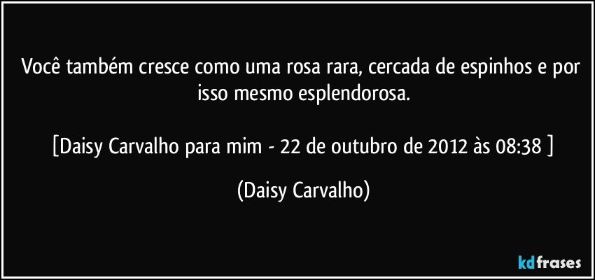 Você também cresce como uma rosa rara, cercada de espinhos e por isso mesmo esplendorosa.

 [Daisy Carvalho para mim - 22 de outubro de 2012 às 08:38 ] (Daisy Carvalho)