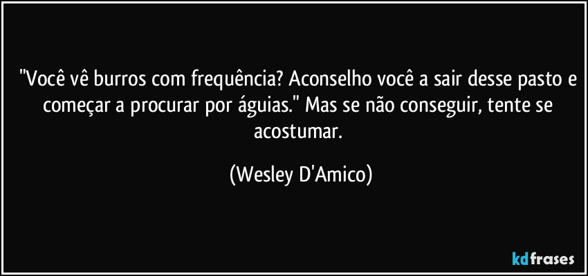"Você vê burros com frequência? Aconselho você a sair desse pasto e começar a procurar por águias." Mas se não conseguir, tente se acostumar. (Wesley D'Amico)
