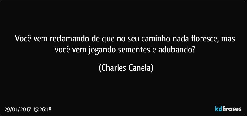 Você vem reclamando de que no seu caminho nada floresce, mas você vem jogando sementes e adubando? (Charles Canela)