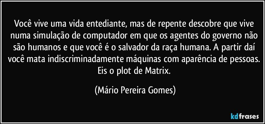 Você vive uma vida entediante, mas de repente descobre que vive numa simulação de computador em que os agentes do governo não são humanos e que você é o salvador da raça humana. A partir daí você mata indiscriminadamente máquinas com aparência de pessoas. Eis o plot de Matrix. (Mário Pereira Gomes)