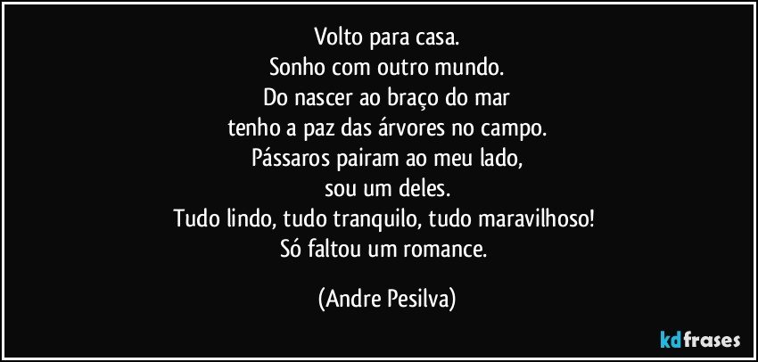 Volto para casa.
Sonho com outro mundo.
Do nascer ao braço do mar
tenho a paz das árvores no campo.
Pássaros pairam ao meu lado,
sou um deles.
Tudo lindo, tudo tranquilo, tudo maravilhoso! 
Só faltou um romance. (Andre Pesilva)