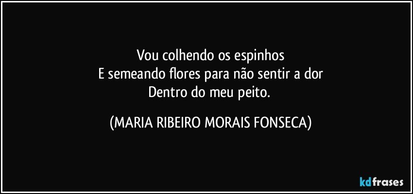 Vou colhendo os espinhos
E semeando flores para não sentir a dor
Dentro do meu peito. (MARIA RIBEIRO MORAIS FONSECA)