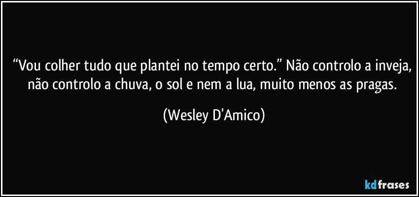 “Vou colher tudo que plantei no tempo certo.” Não controlo a inveja, não controlo a chuva, o sol e nem a lua, muito menos as pragas. (Wesley D'Amico)