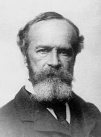 Frases de William James - A fé é uma das forças pelas